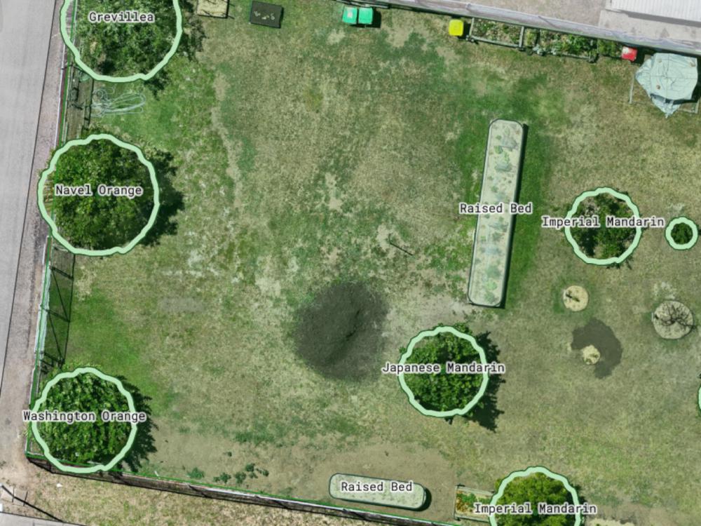 Trees mapped using drone orthophoto and Permiehub