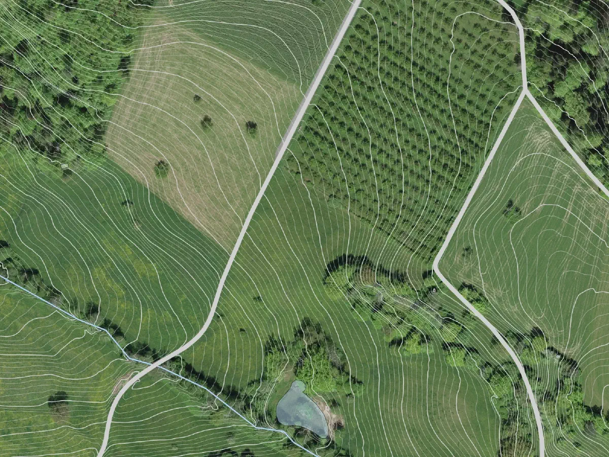 Switzerland: Imagery from ©swisstopo. Water bodies and roads from © OpenStreetMap contributors.