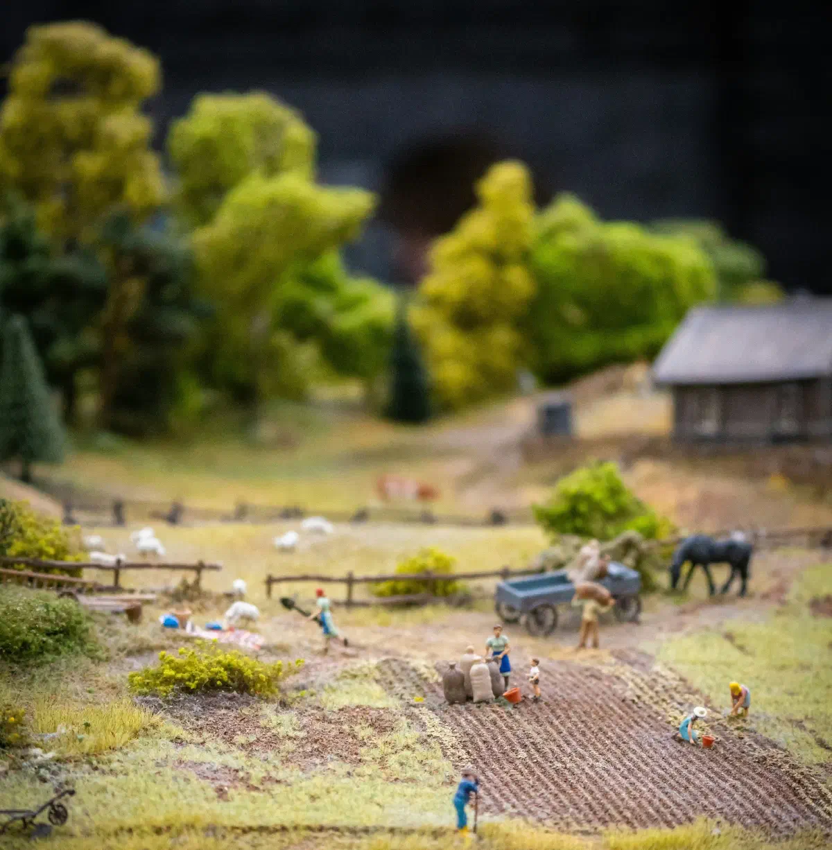 Example of Scale on Railway Model